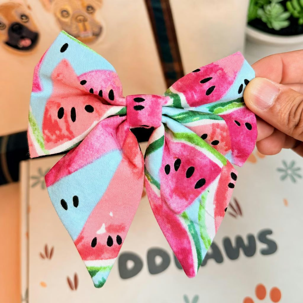 Designed Watermelon Dog Vest Set
