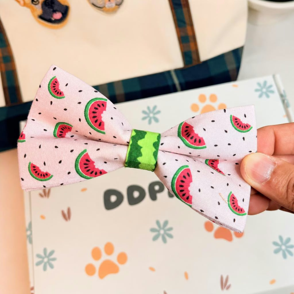 Designed Watermelon Dog Vest Set