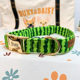 Collar