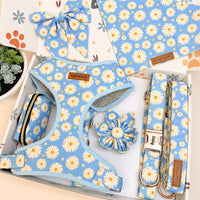 Designed Blue Daisy Floral Dog Vest Set