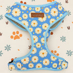 Designed Blue Daisy Floral Dog Vest Set