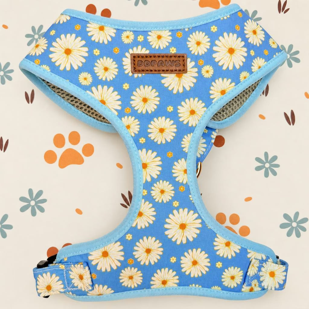Designed Blue Daisy Floral Dog Vest Set