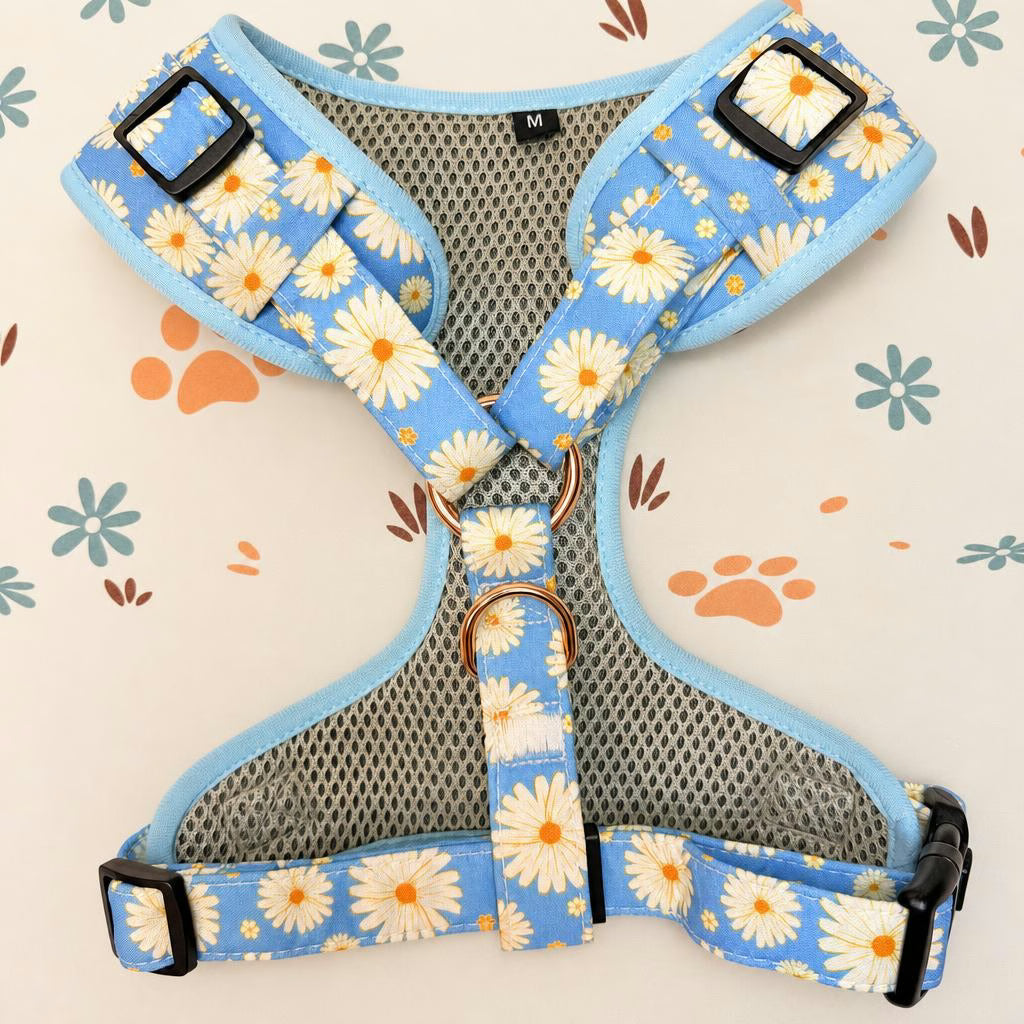 Designed Blue Daisy Floral Dog Vest Set