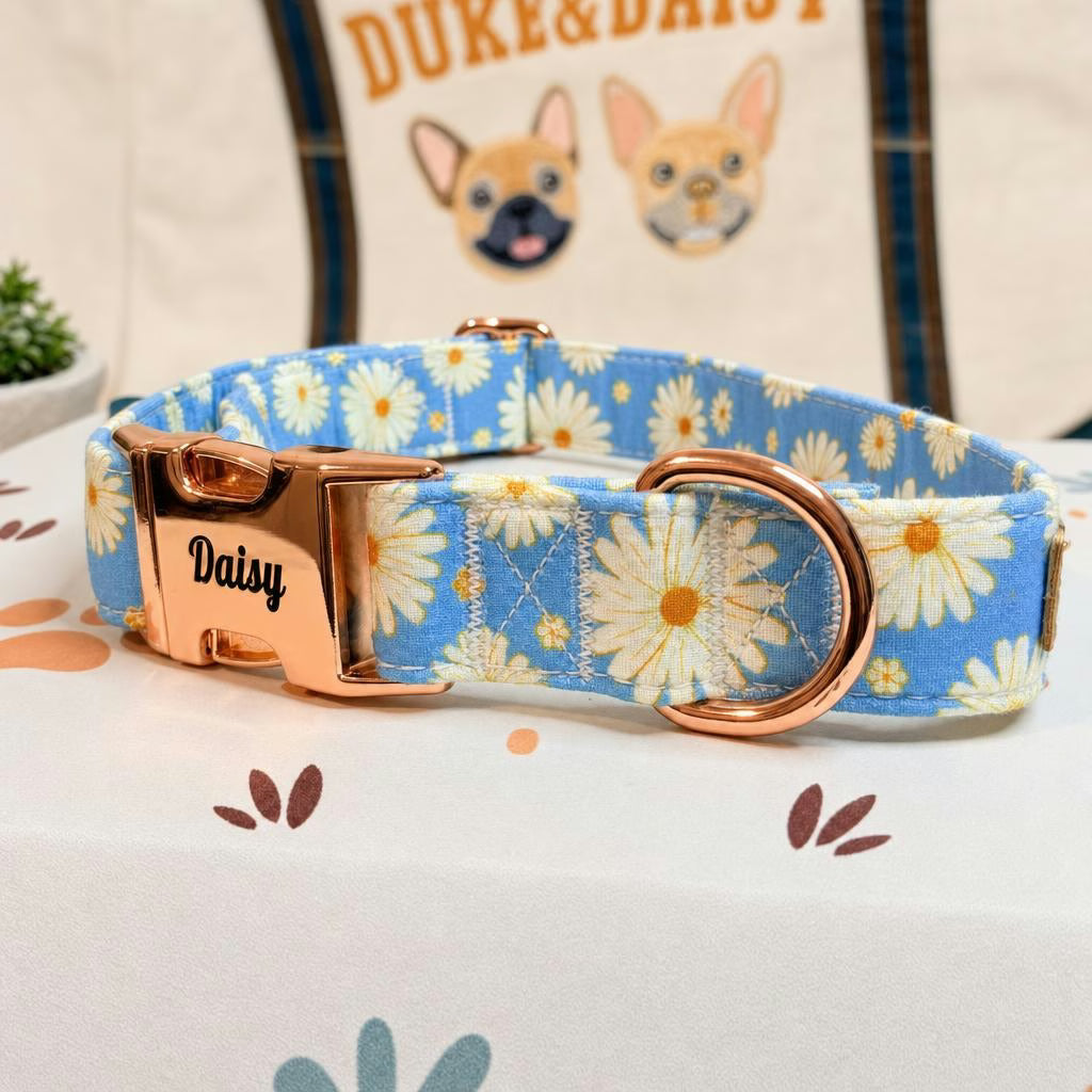 Designed Blue Daisy Floral Dog Vest Set