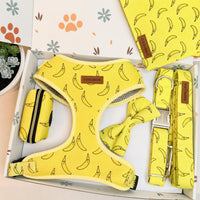 Designed Banana Dog Vest Set