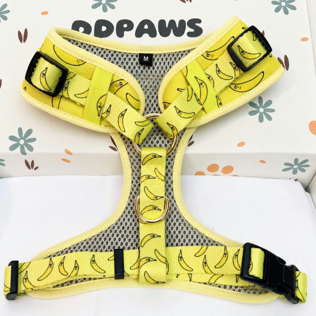 Designed Banana Dog Vest Set