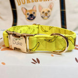 Collar