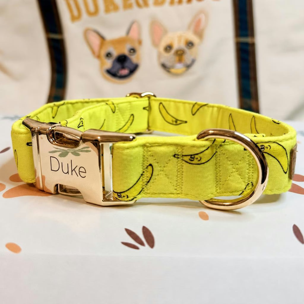 Designed Banana Dog Vest Set