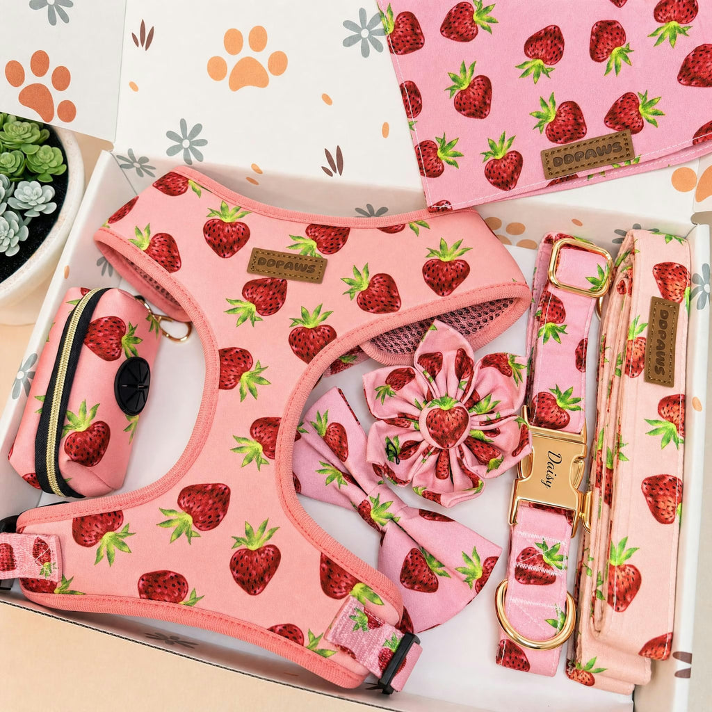 Designed Straberry Dog Vest Set