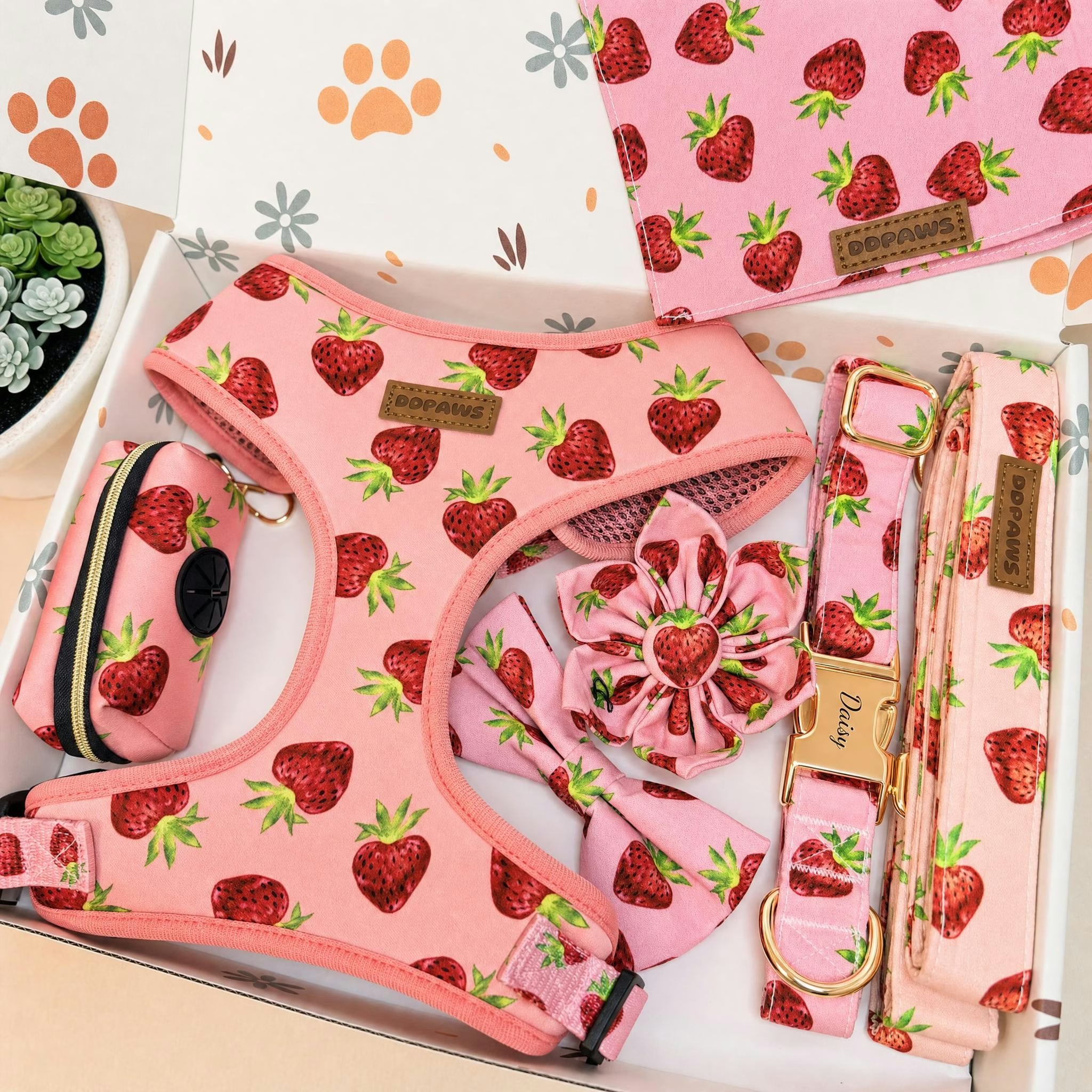 Designed Straberry Dog Vest Set