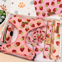 Designed Strawberry Dog Vest Set