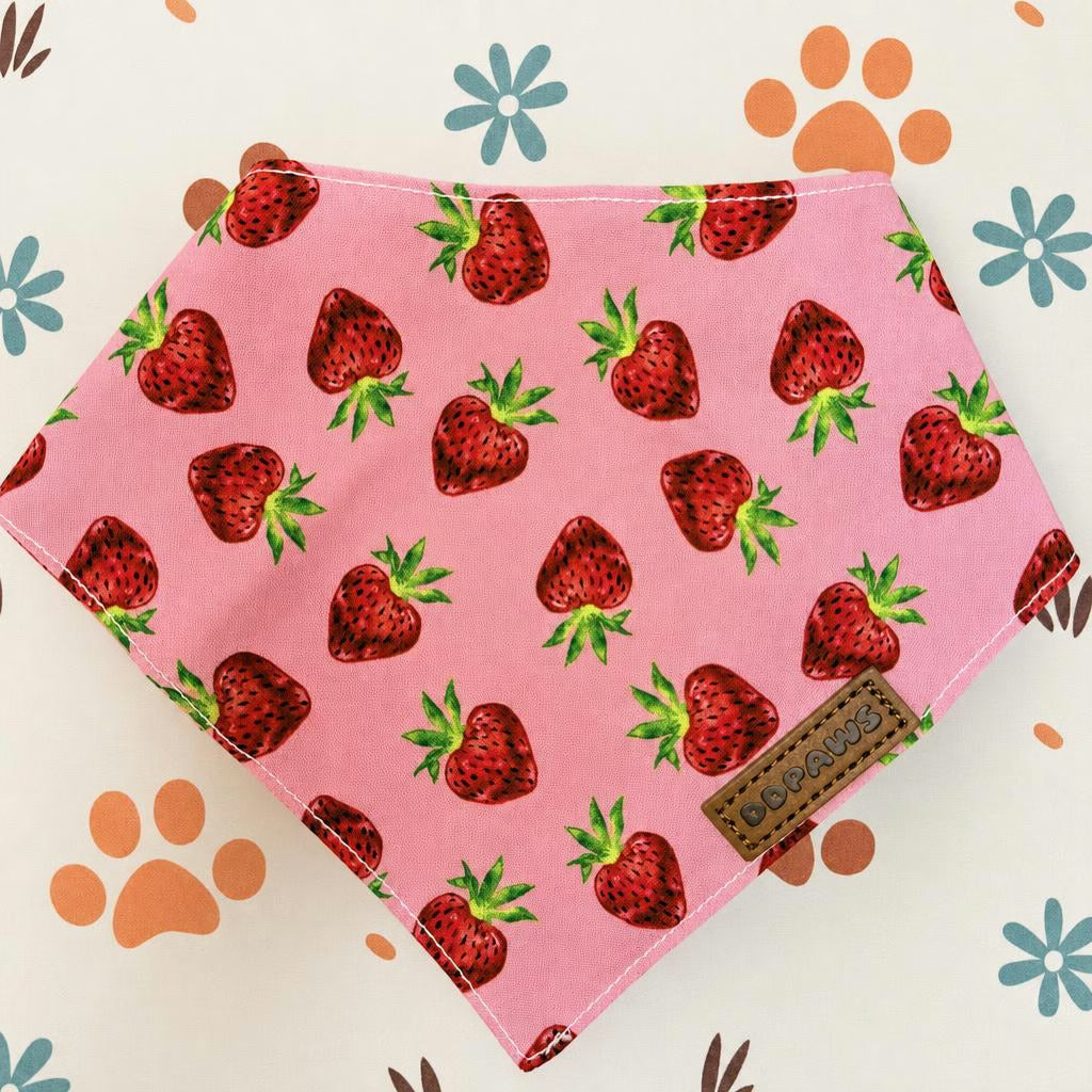 Designed Straberry Dog Vest Set