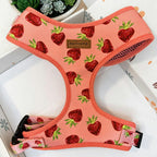 Designed Straberry Dog Vest Set