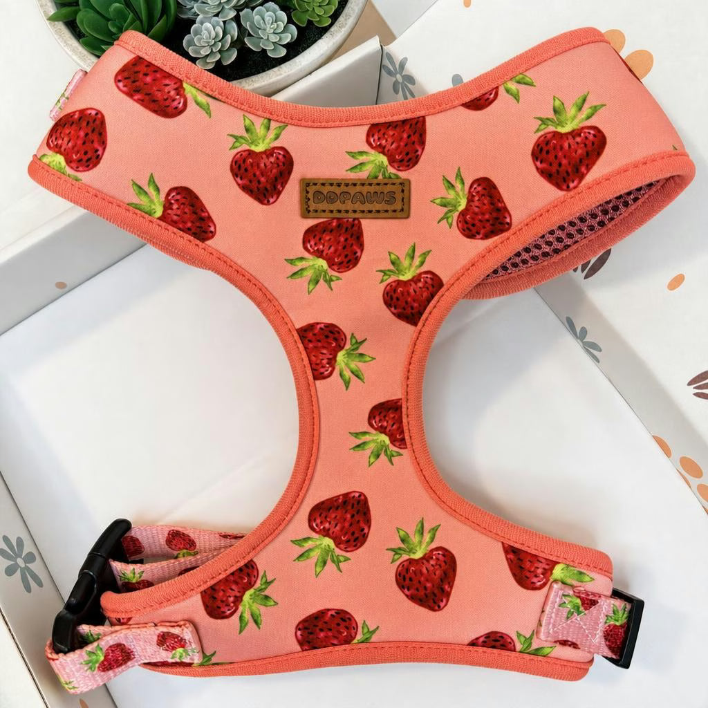 Designed Straberry Dog Vest Set