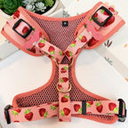 Designed Straberry Dog Vest Set