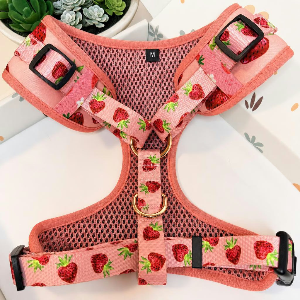 Designed Straberry Dog Vest Set