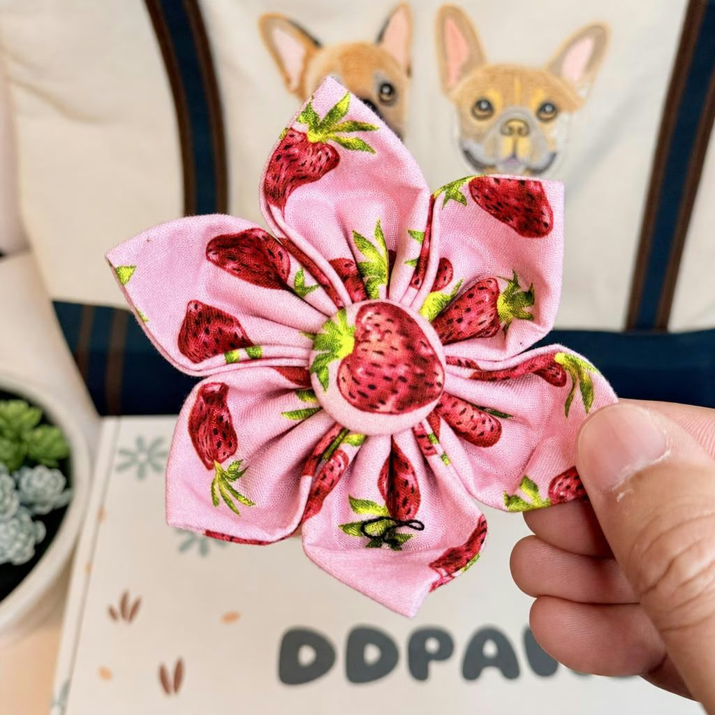 Designed Straberry Dog Vest Set