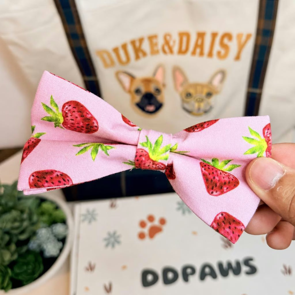 Designed Straberry Dog Vest Set
