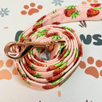 Designed Straberry Dog Vest Set