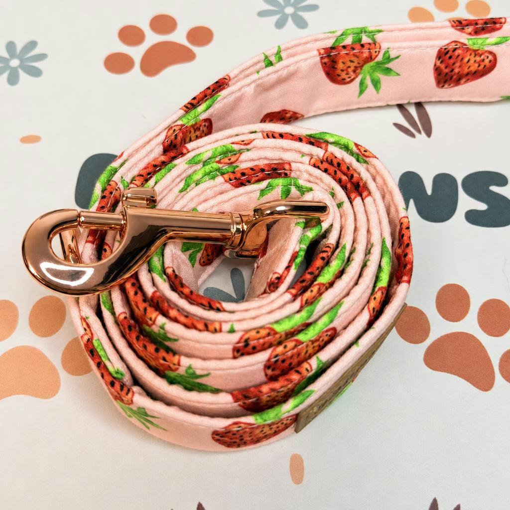 Designed Straberry Dog Vest Set