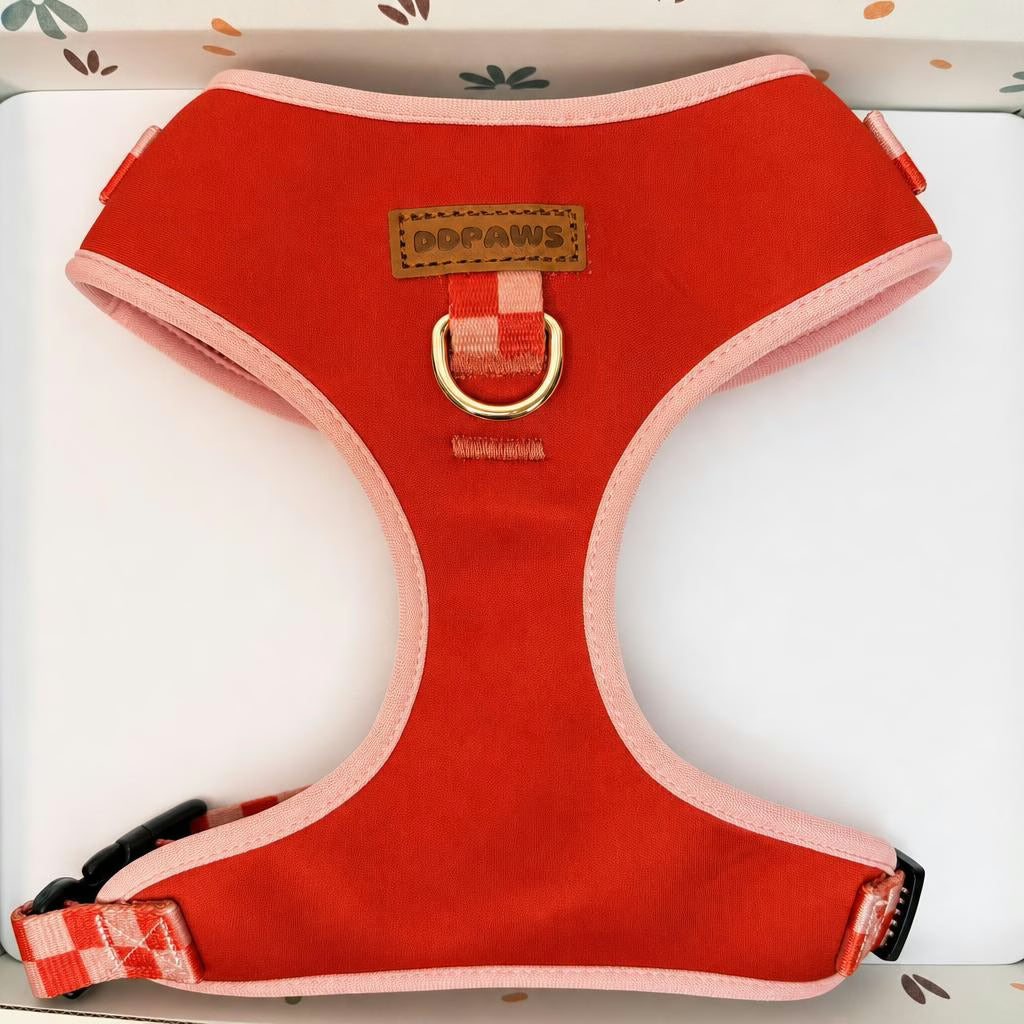Designed Red Caro Dog Vest Set
