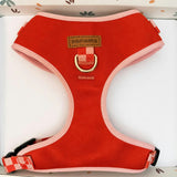 Harness