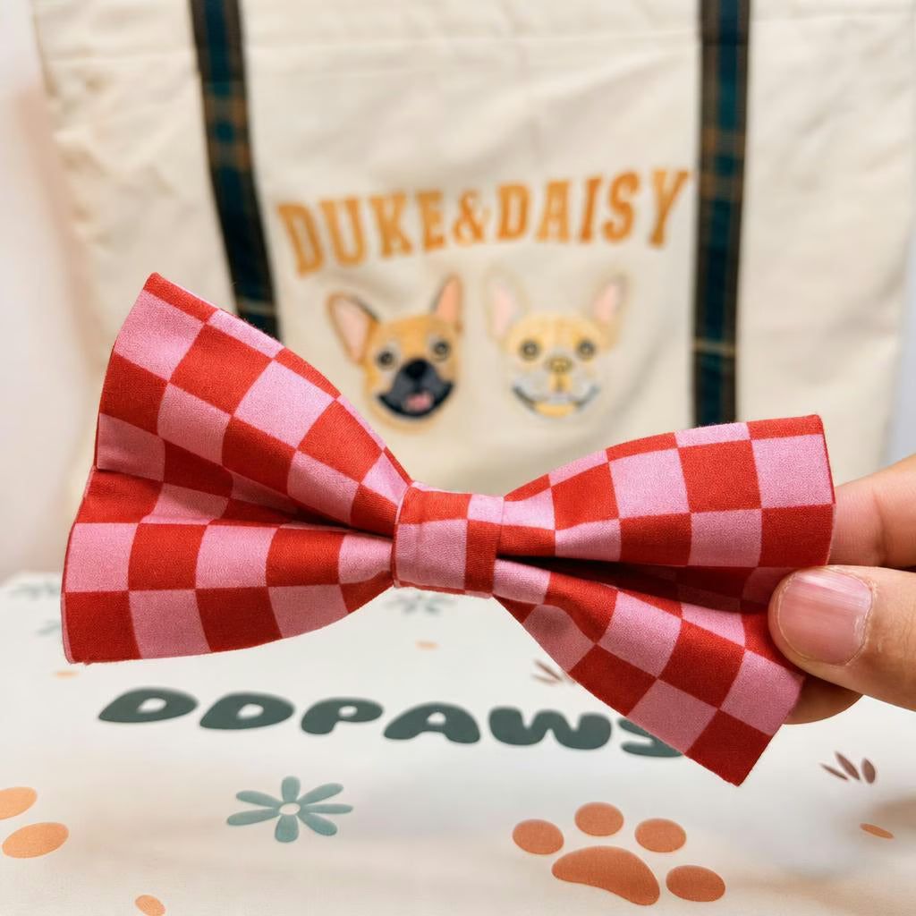 Designed Red Caro Dog Vest Set