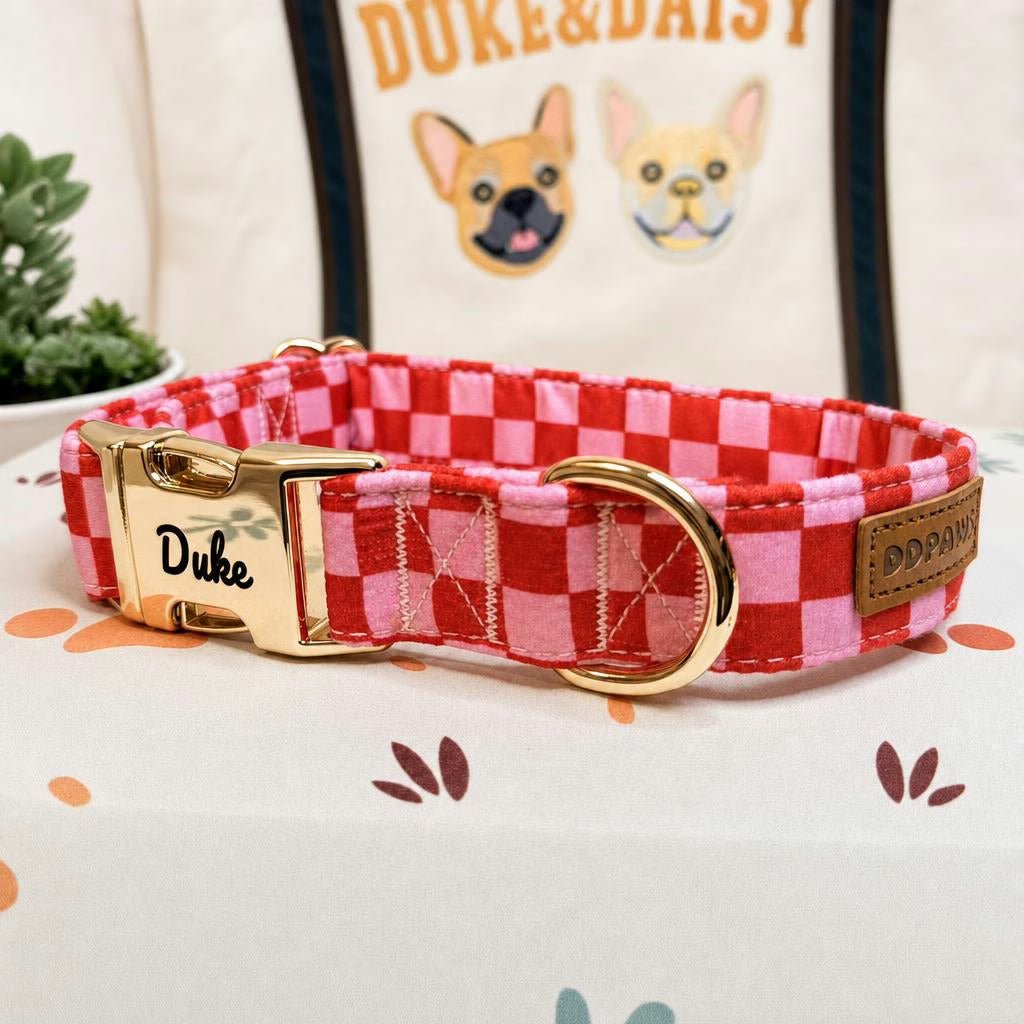 Designed Red Caro Dog Vest Set