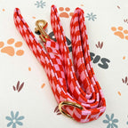 Designed Red Caro Dog Vest Set