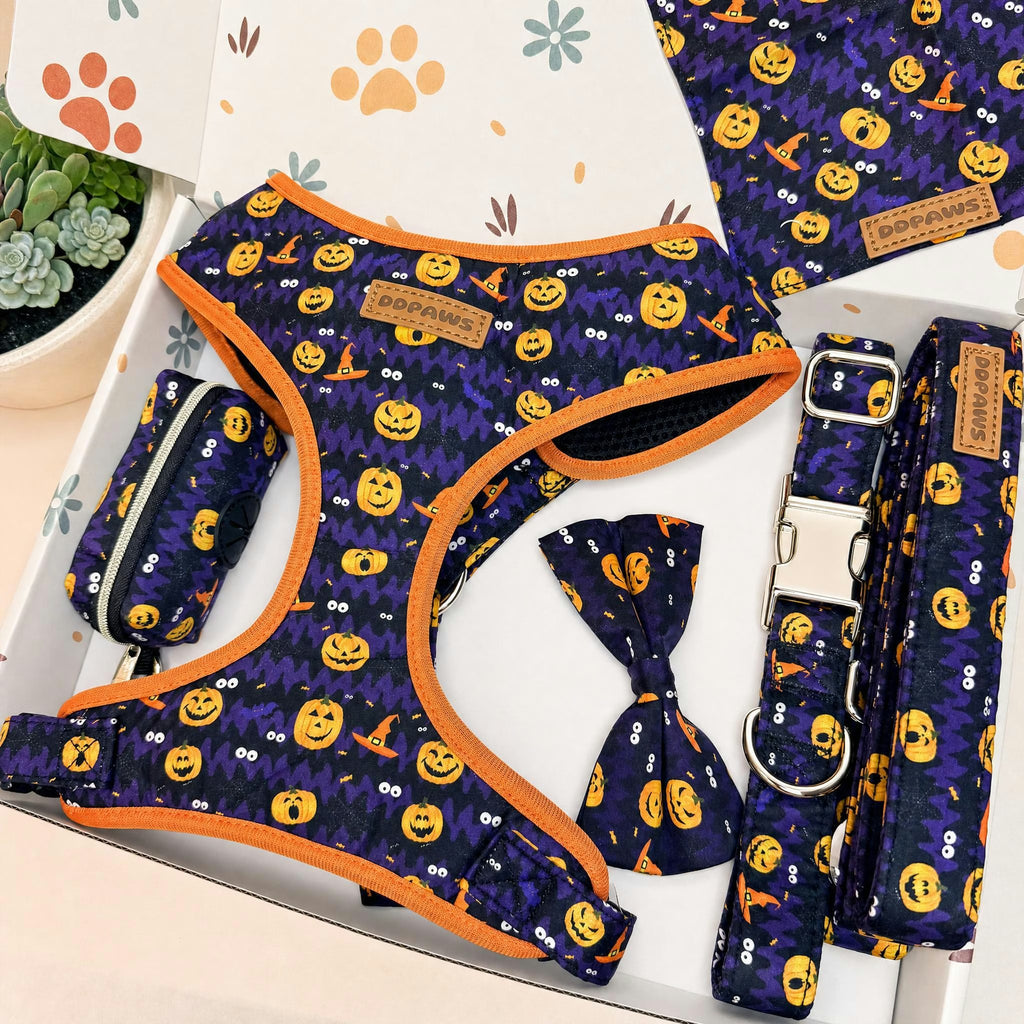 Designed Halloween Dog Vest Set