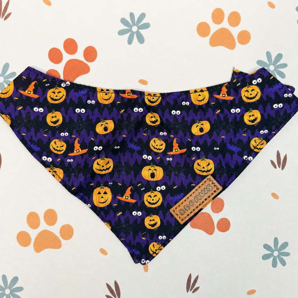 Designed Halloween Dog Vest Set