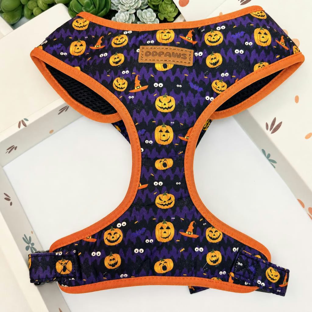 Designed Halloween Dog Vest Set