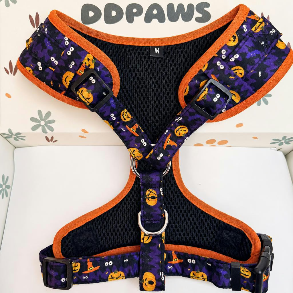 Designed Halloween Dog Vest Set