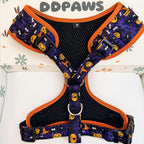 Designed Halloween Dog Vest Set