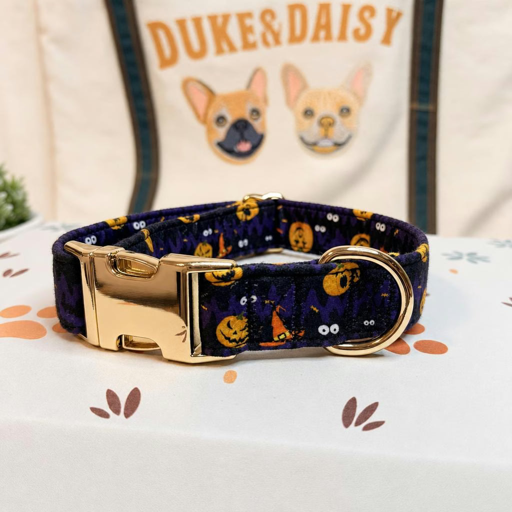 Designed Halloween Dog Vest Set