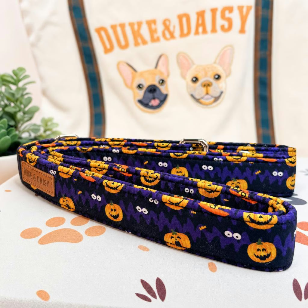 Designed Halloween Dog Vest Set