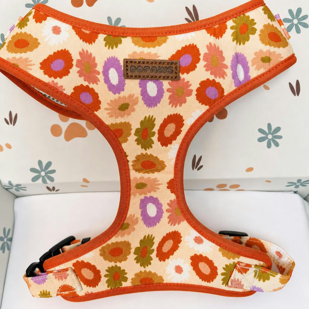 Designed Autumn Floral Dog Vest Set
