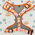 Designed Autumn Floral Dog Vest Set