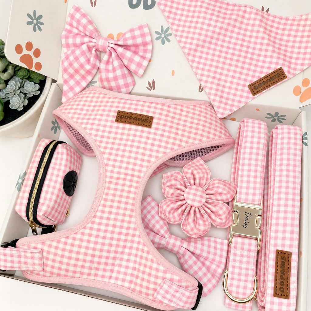 Designed Pink Caro Dog Vest Set