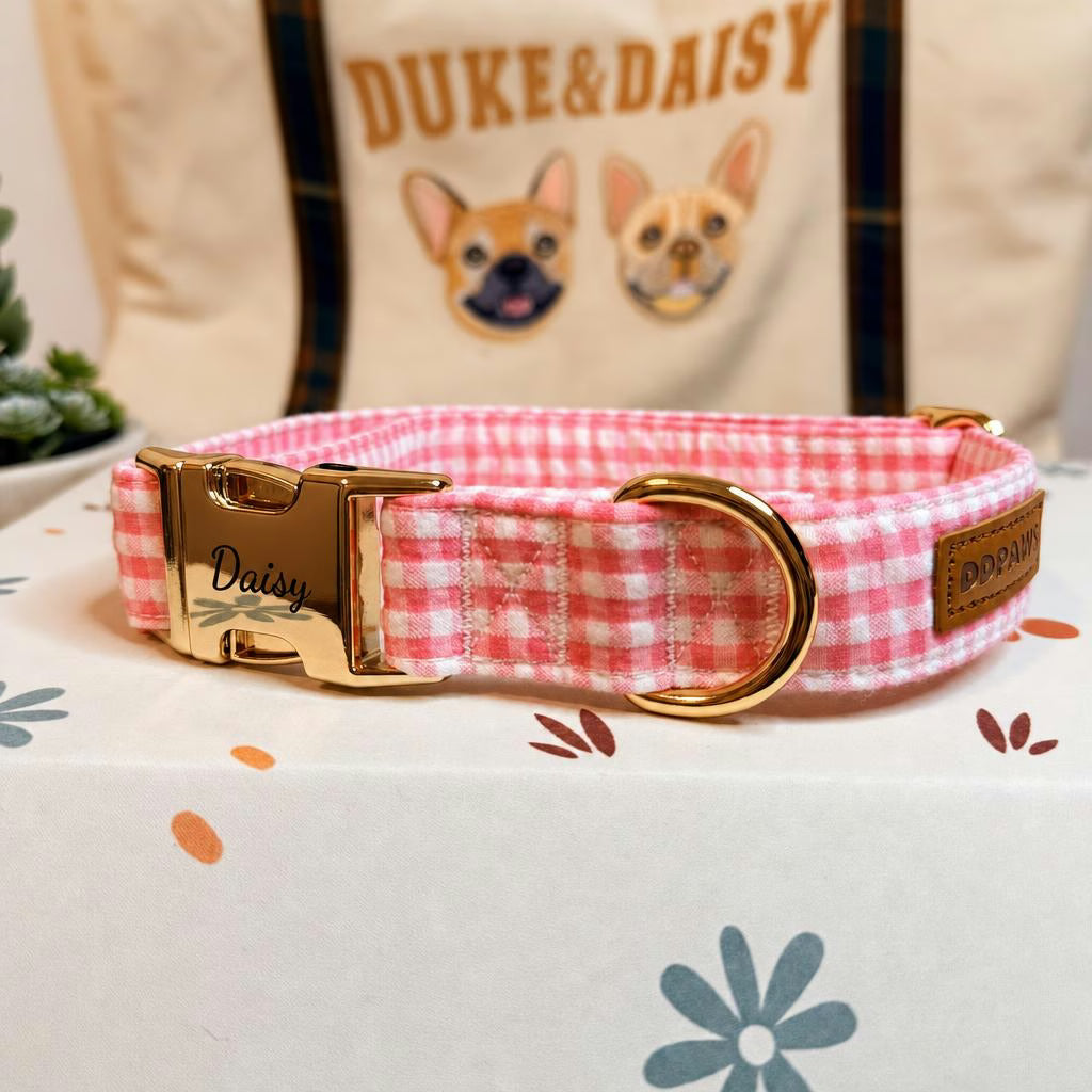 Designed Pink Caro Dog Vest Set
