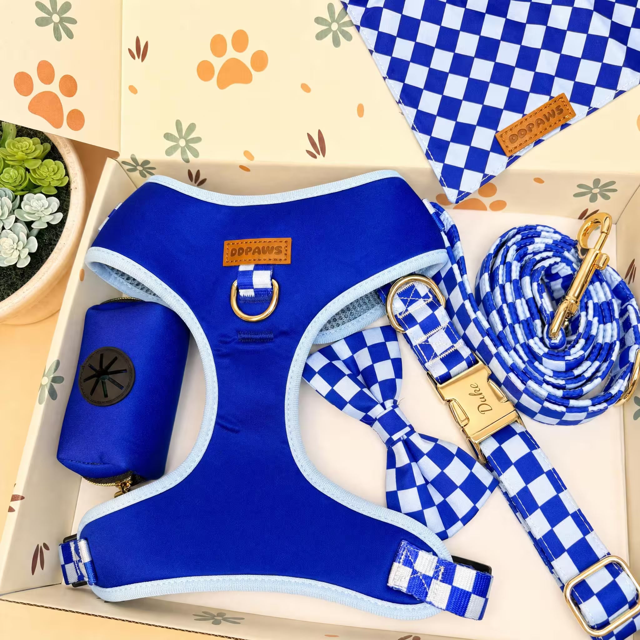 Designed Blue Caro Dog Vest Set
