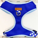 Designed Blue Caro Dog Vest Set