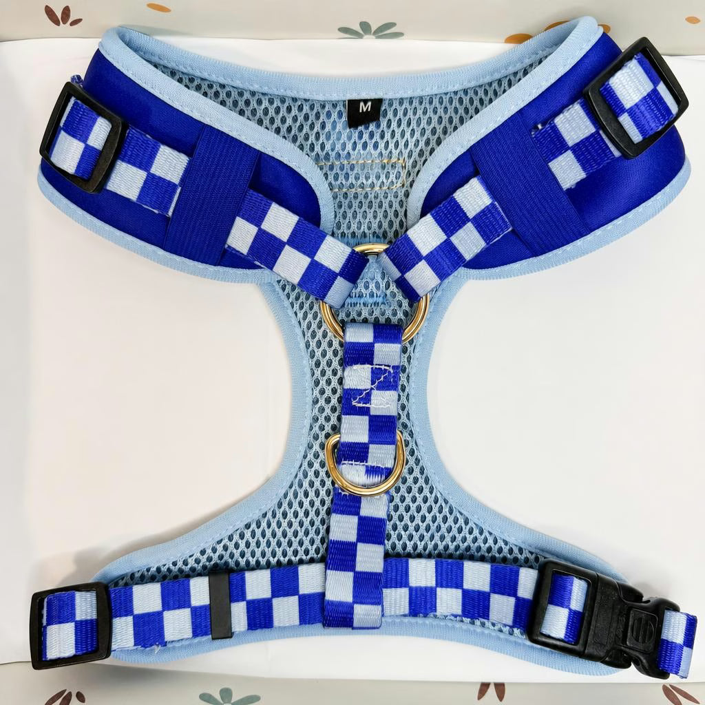 Designed Blue Caro Dog Vest Set