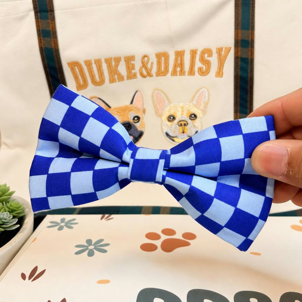 Designed Blue Caro Dog Vest Set