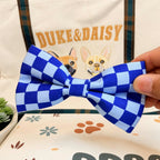 Designed Blue Caro Dog Vest Set