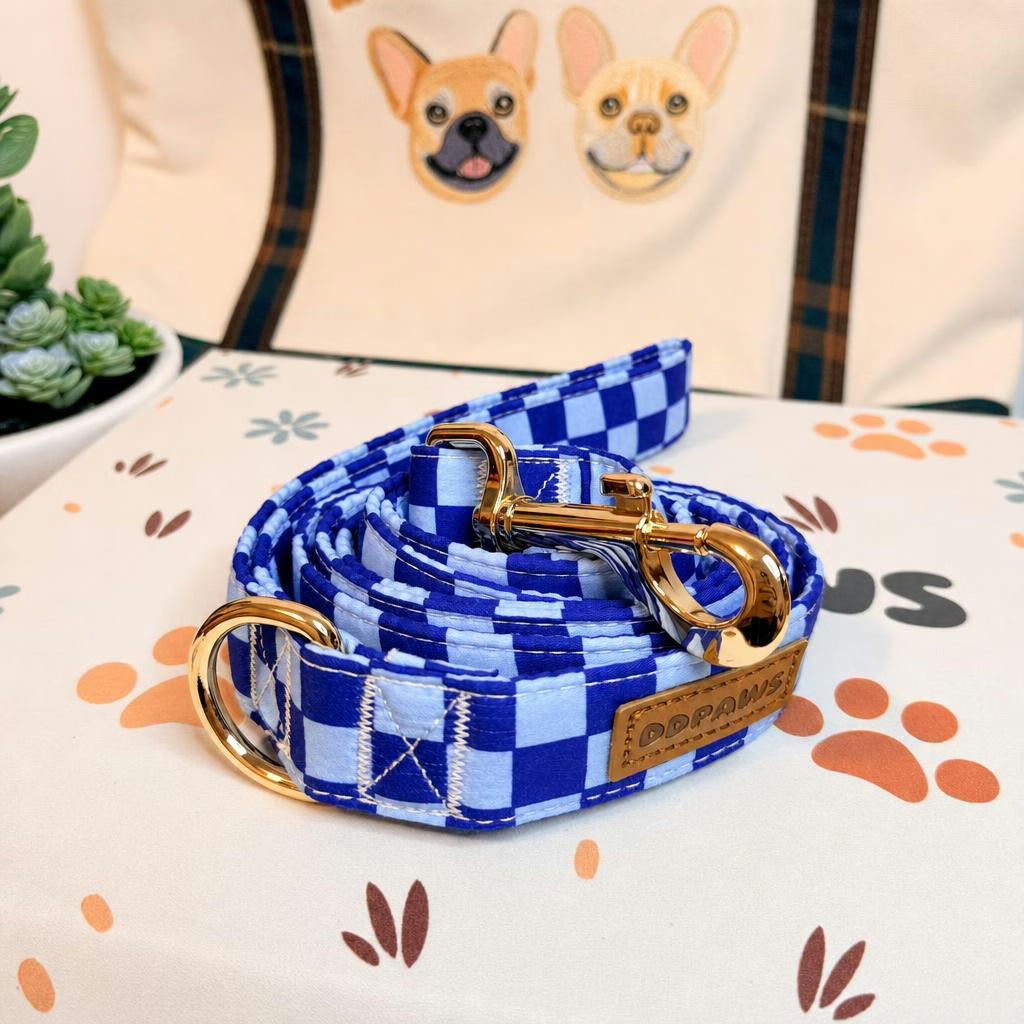 Designed Blue Caro Dog Vest Set