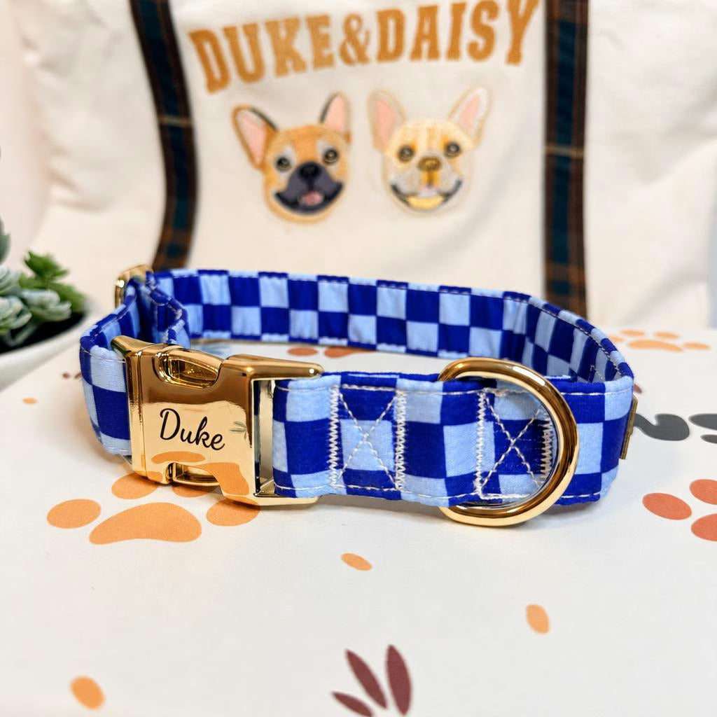 Designed Blue Caro Dog Vest Set