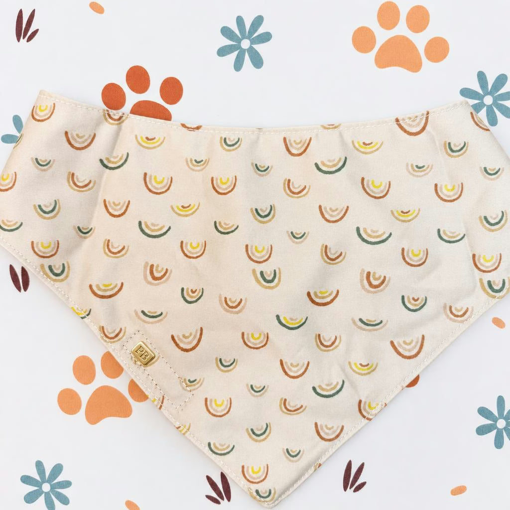 Designed Rainbow Dog Vest Set