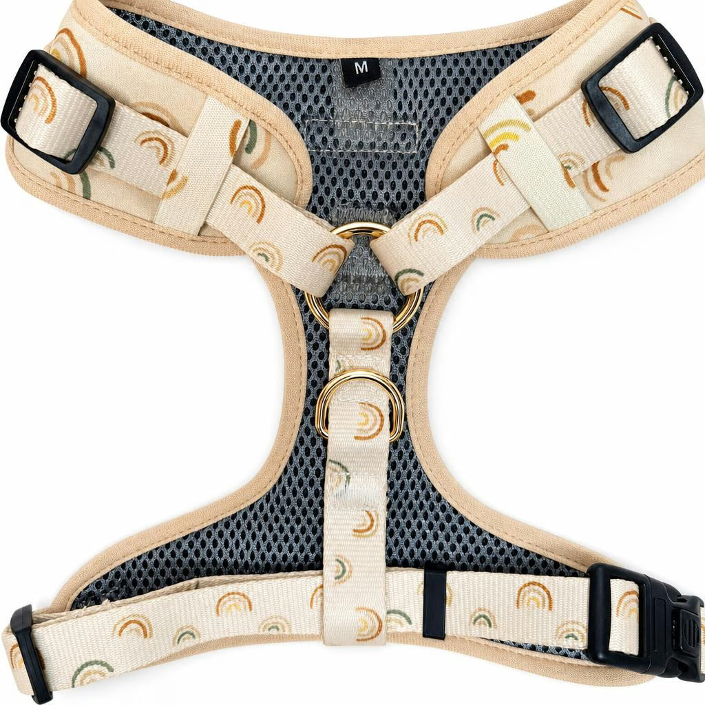 Designed Rainbow Dog Vest Set