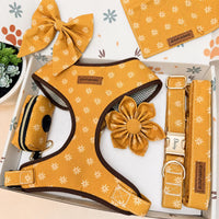 Designed Autumn Daisy Floral Dog Vest Set